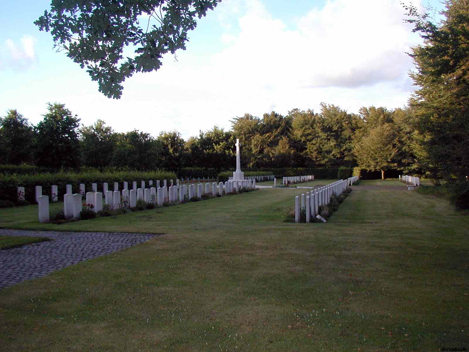 * Image 19