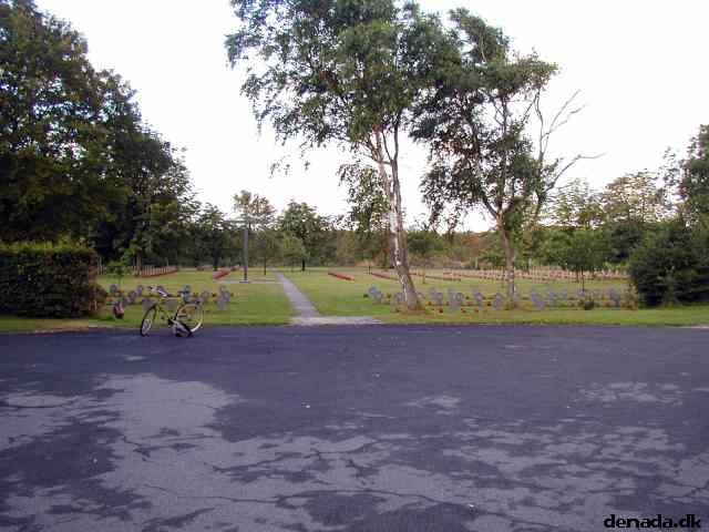 * Image 3