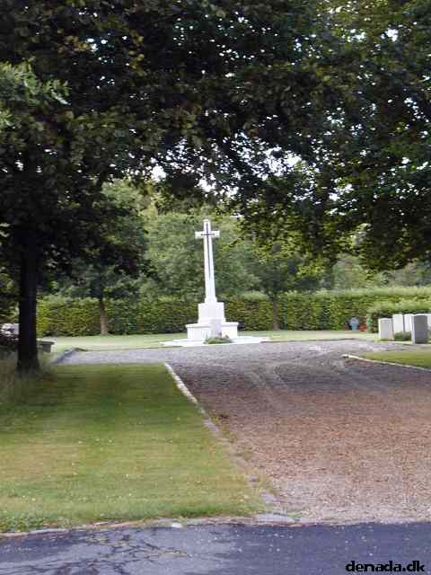 * Image 6