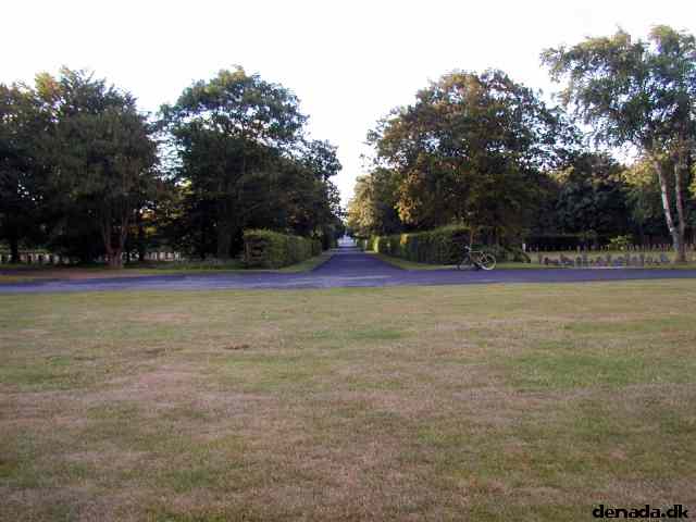 * Image 8