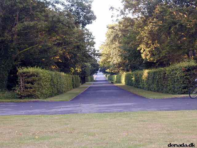 * Image 9