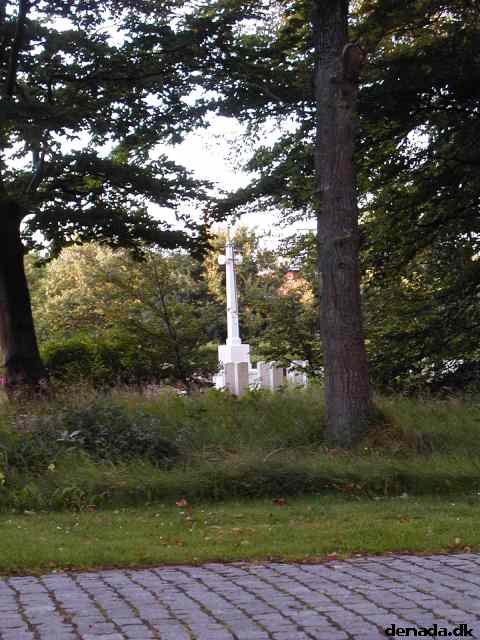 * Image 11