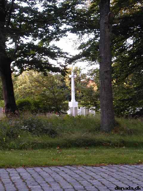 * Image 12