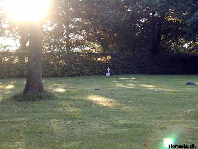 * Image 13