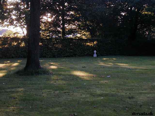 * Image 14