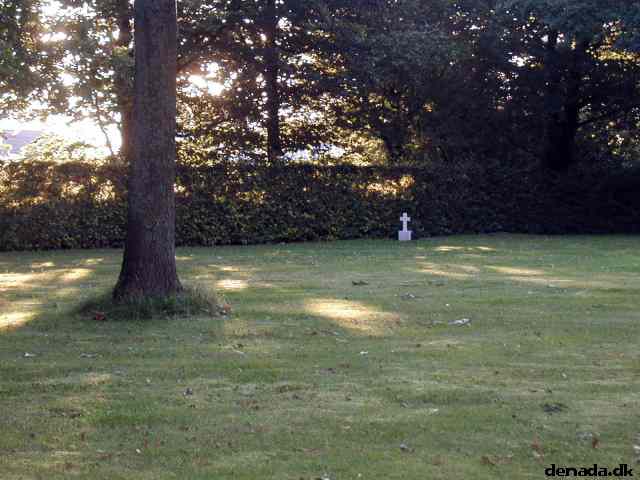 * Image 15