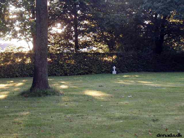 * Image 16