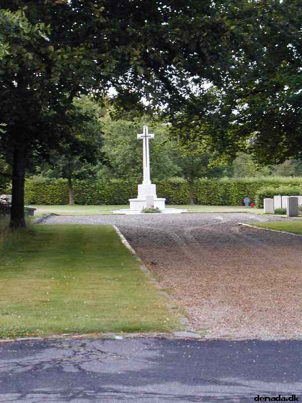 * Image 7
