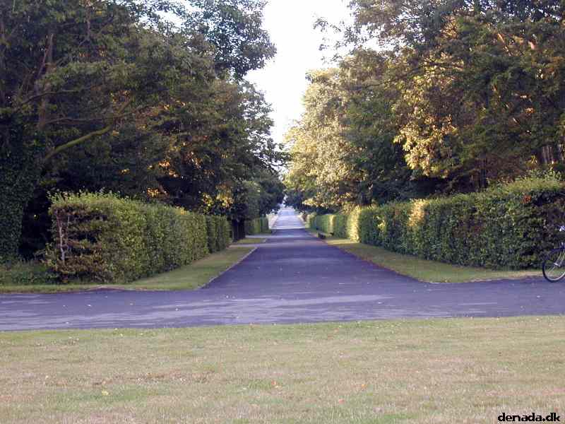 * Image 9