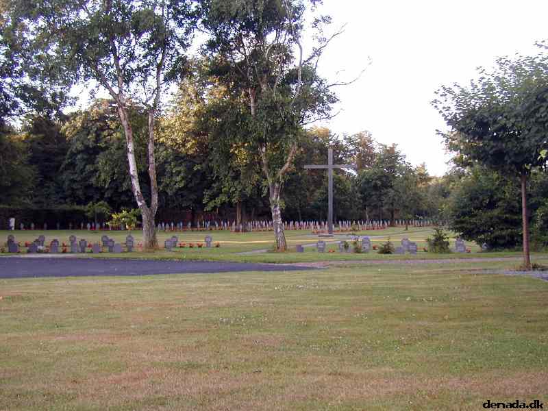* Image 10