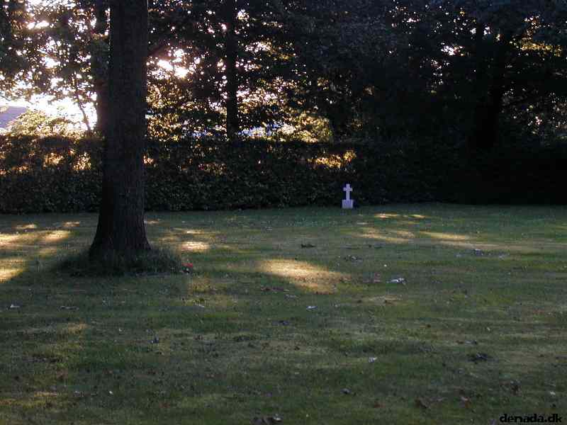 * Image 14
