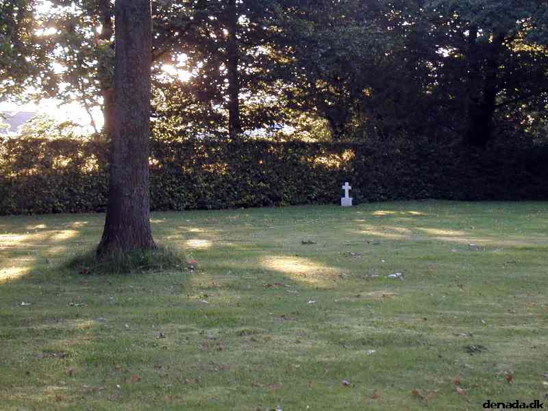 * Image 15