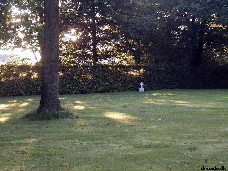 * Image 16