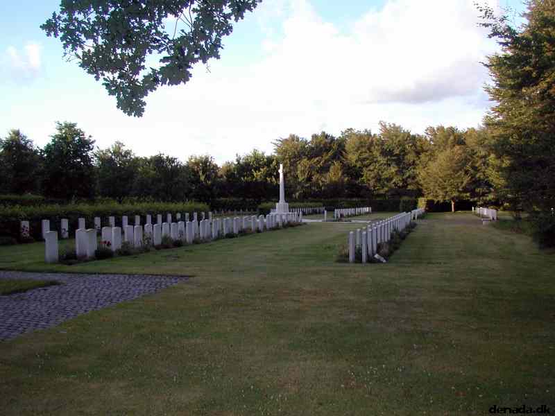 * Image 19