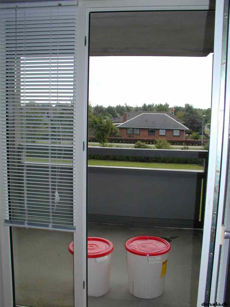 * Image 9