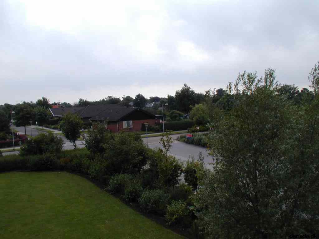 * Image 12