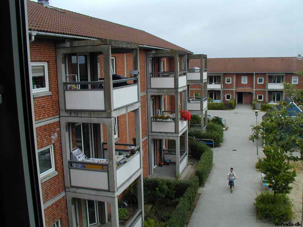 * Image 16