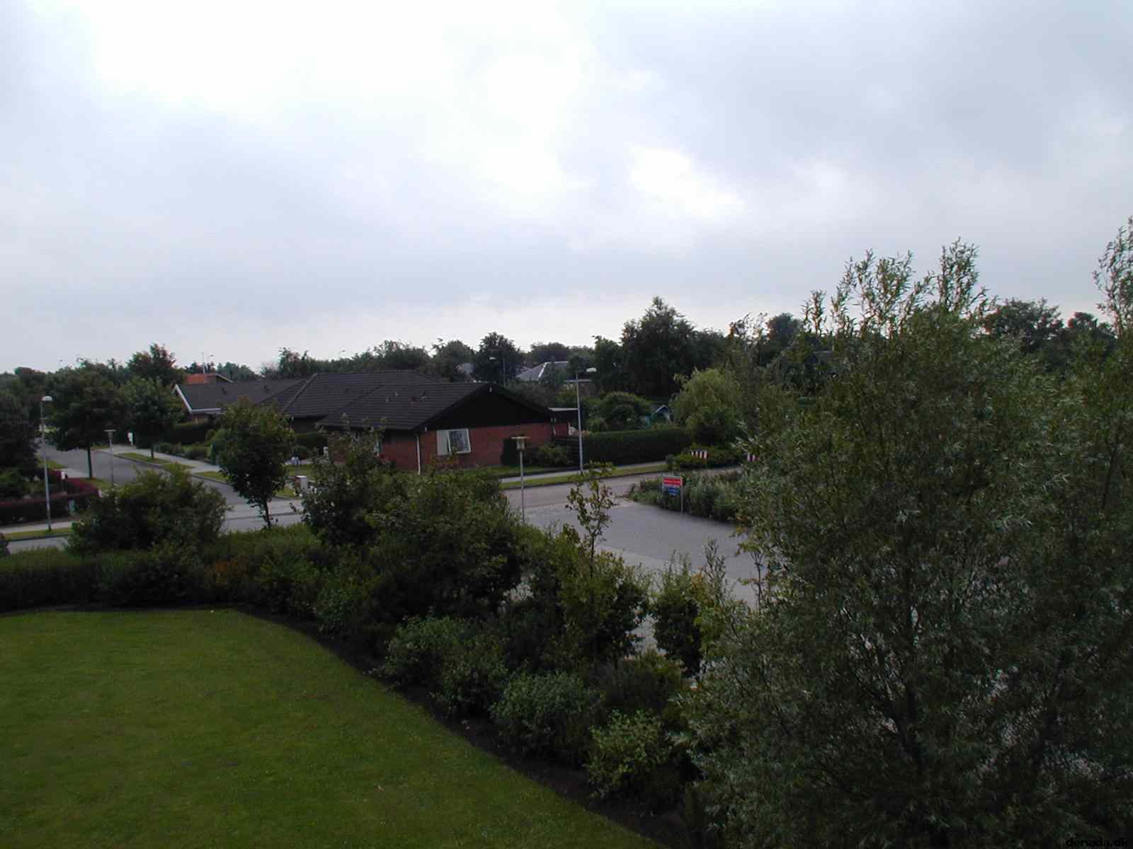 * Image 12