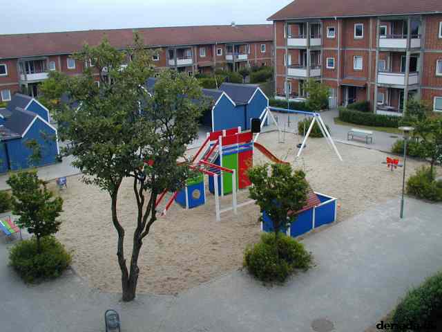 * Image 19