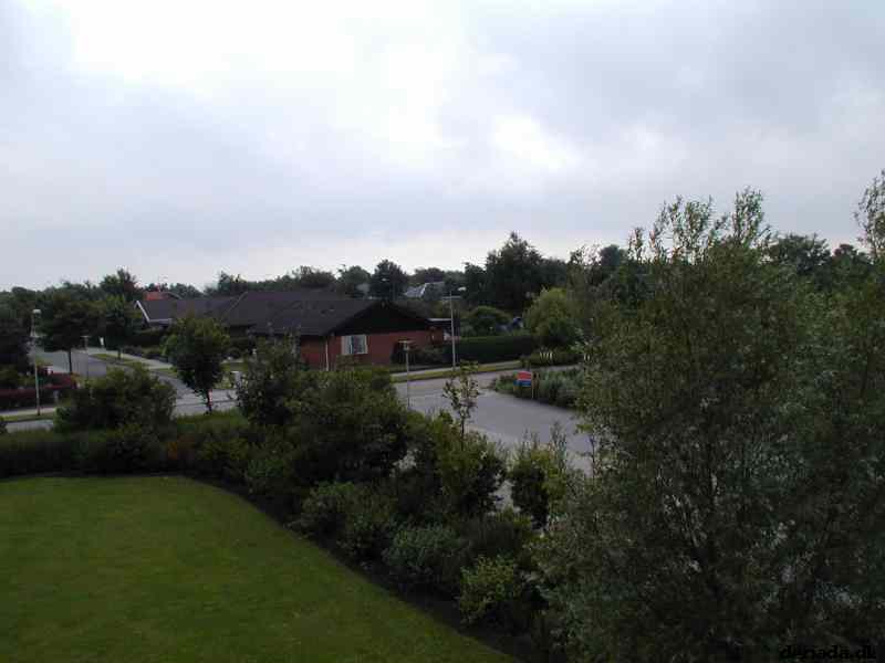 * Image 12
