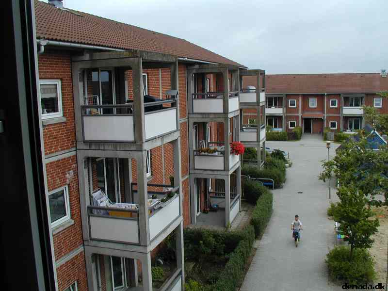 * Image 16