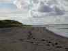 2001_09_04-12_36_56.jpg - 2001:09:04 10:36:56