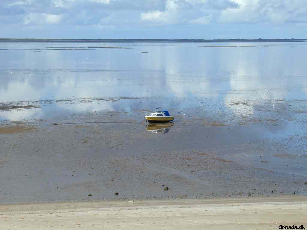 * Image 2