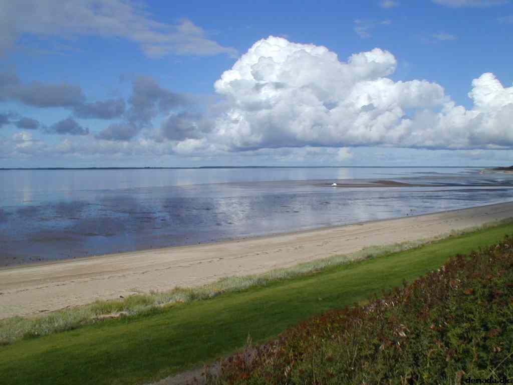 * Image 5
