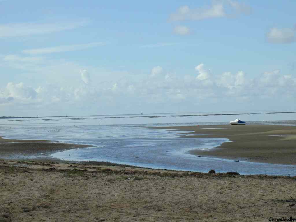 * Image 8