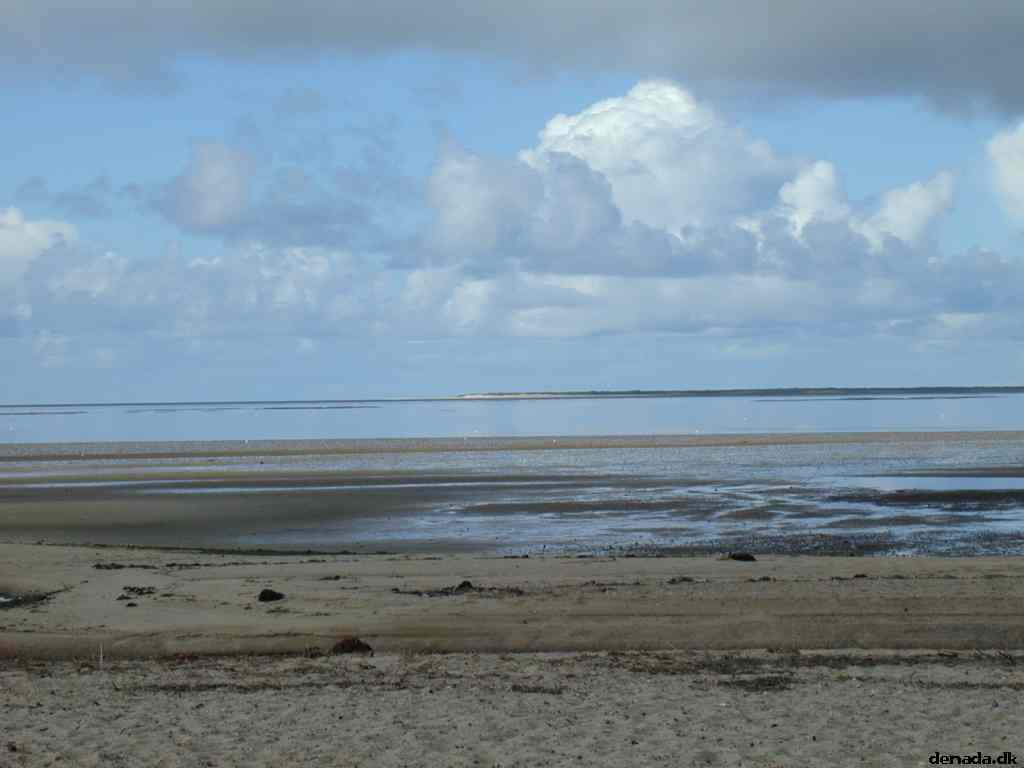 * Image 9