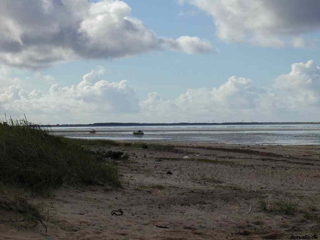 * Image 10