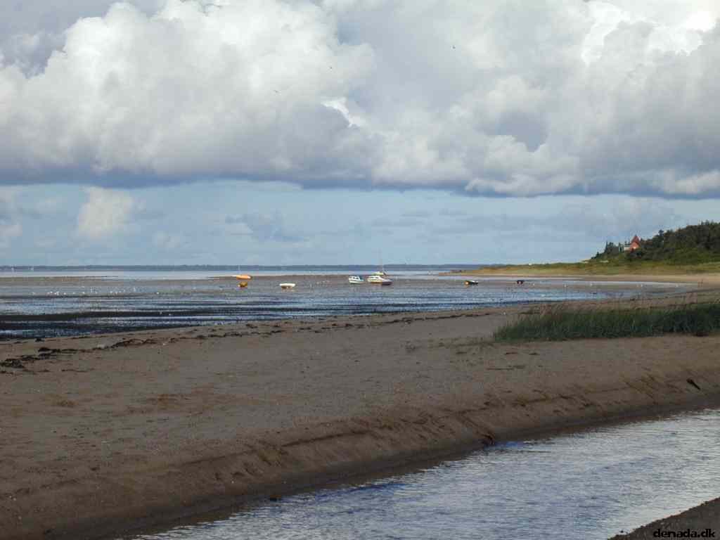 * Image 11