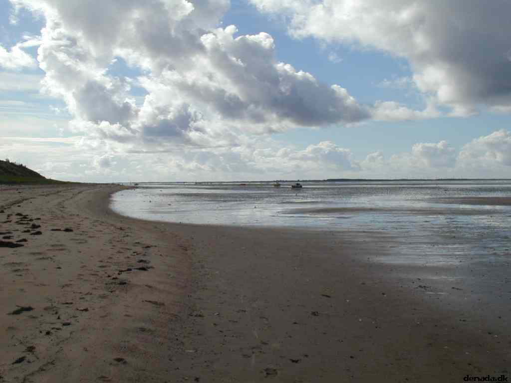 * Image 15