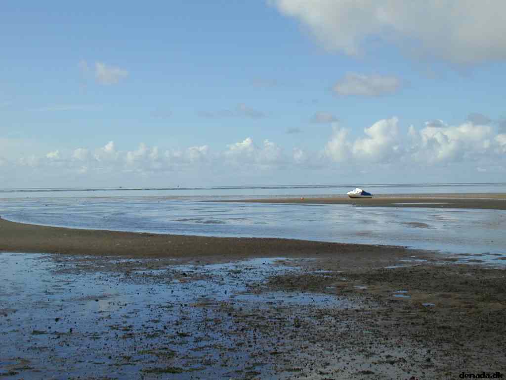 * Image 16