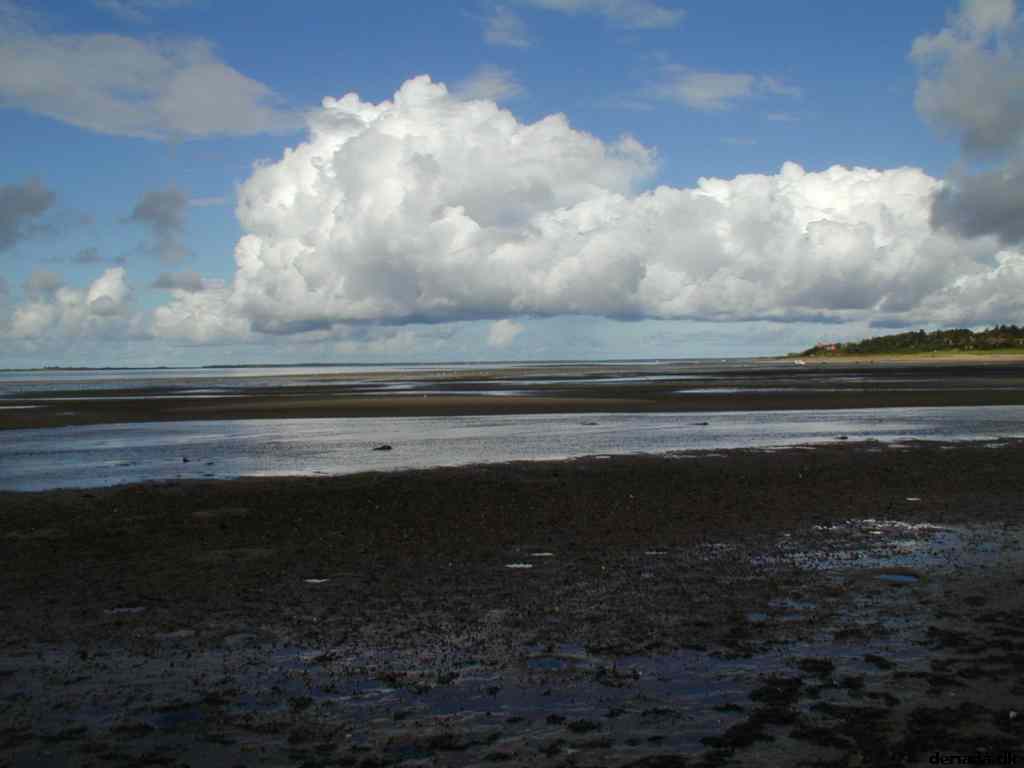 * Image 17