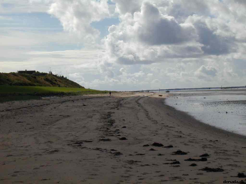 * Image 18