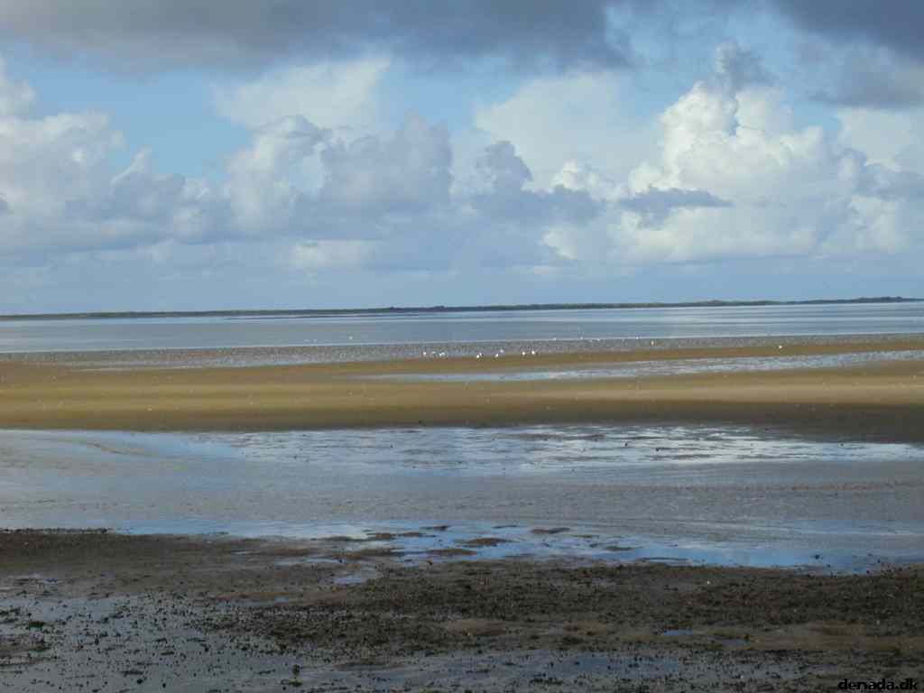 * Image 19