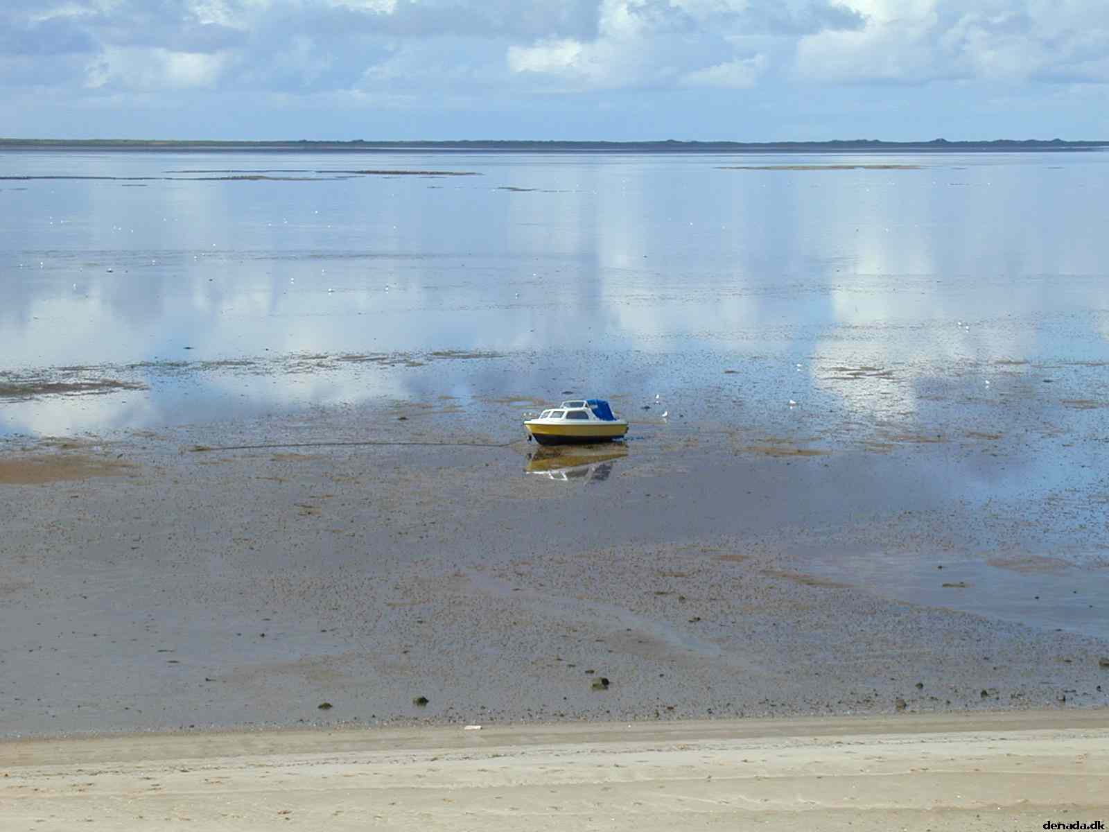* Image 2