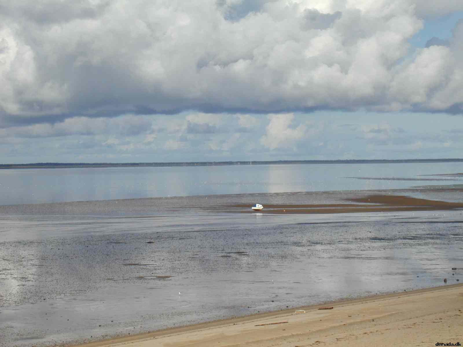 * Image 3