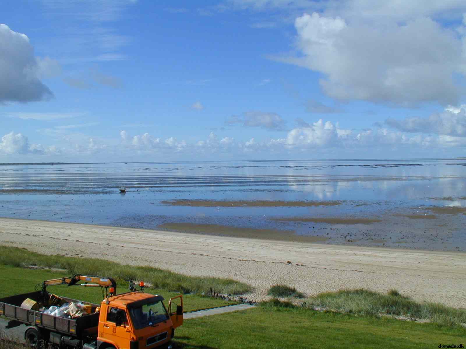 * Image 4