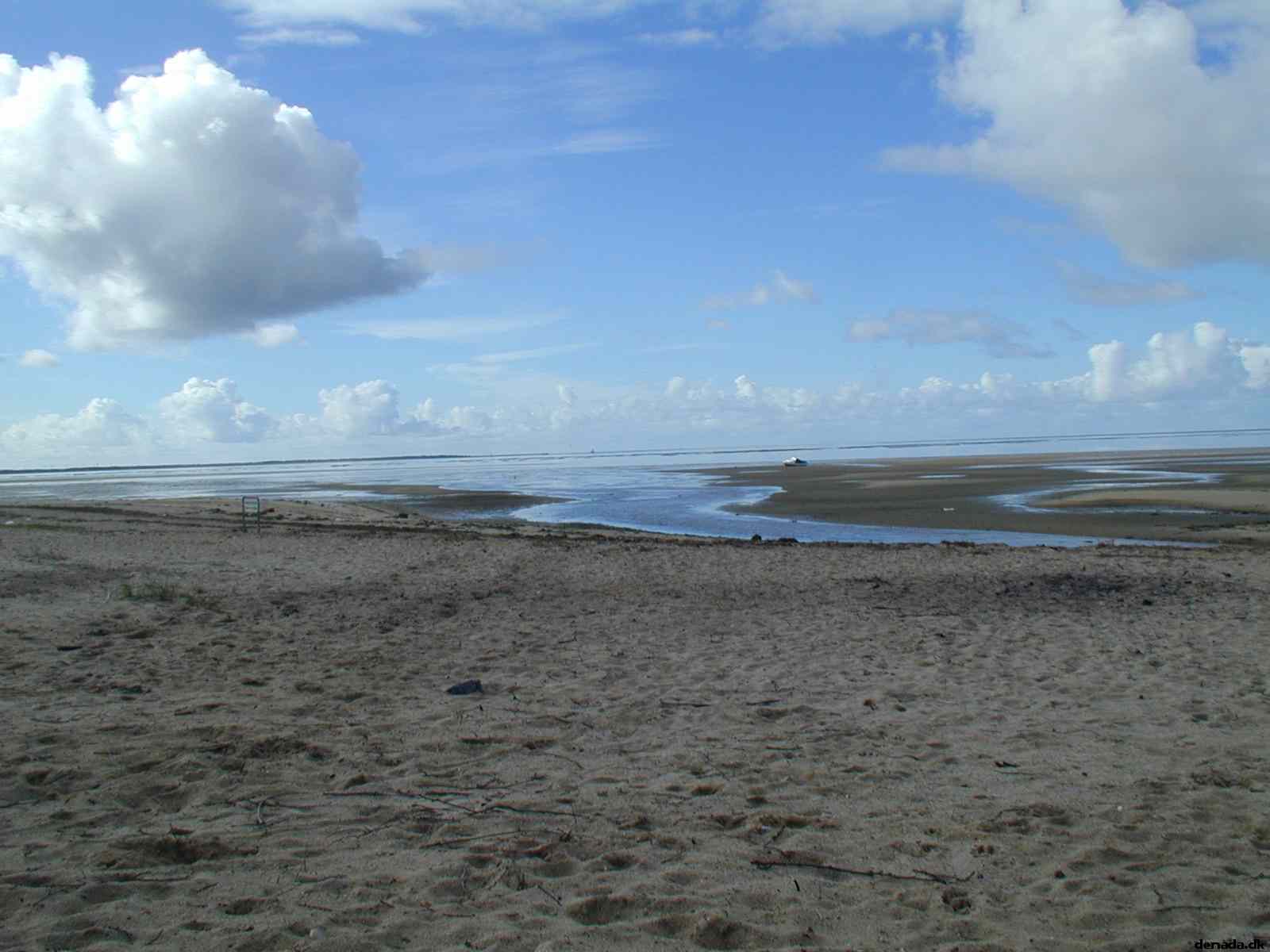 * Image 6