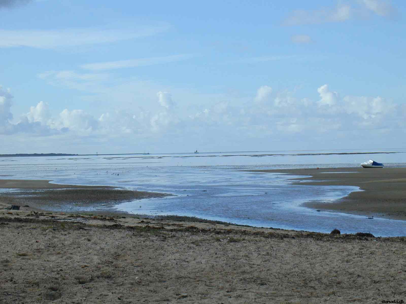 * Image 7