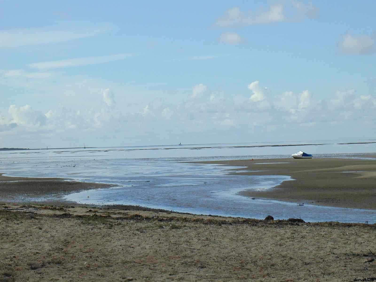 * Image 8