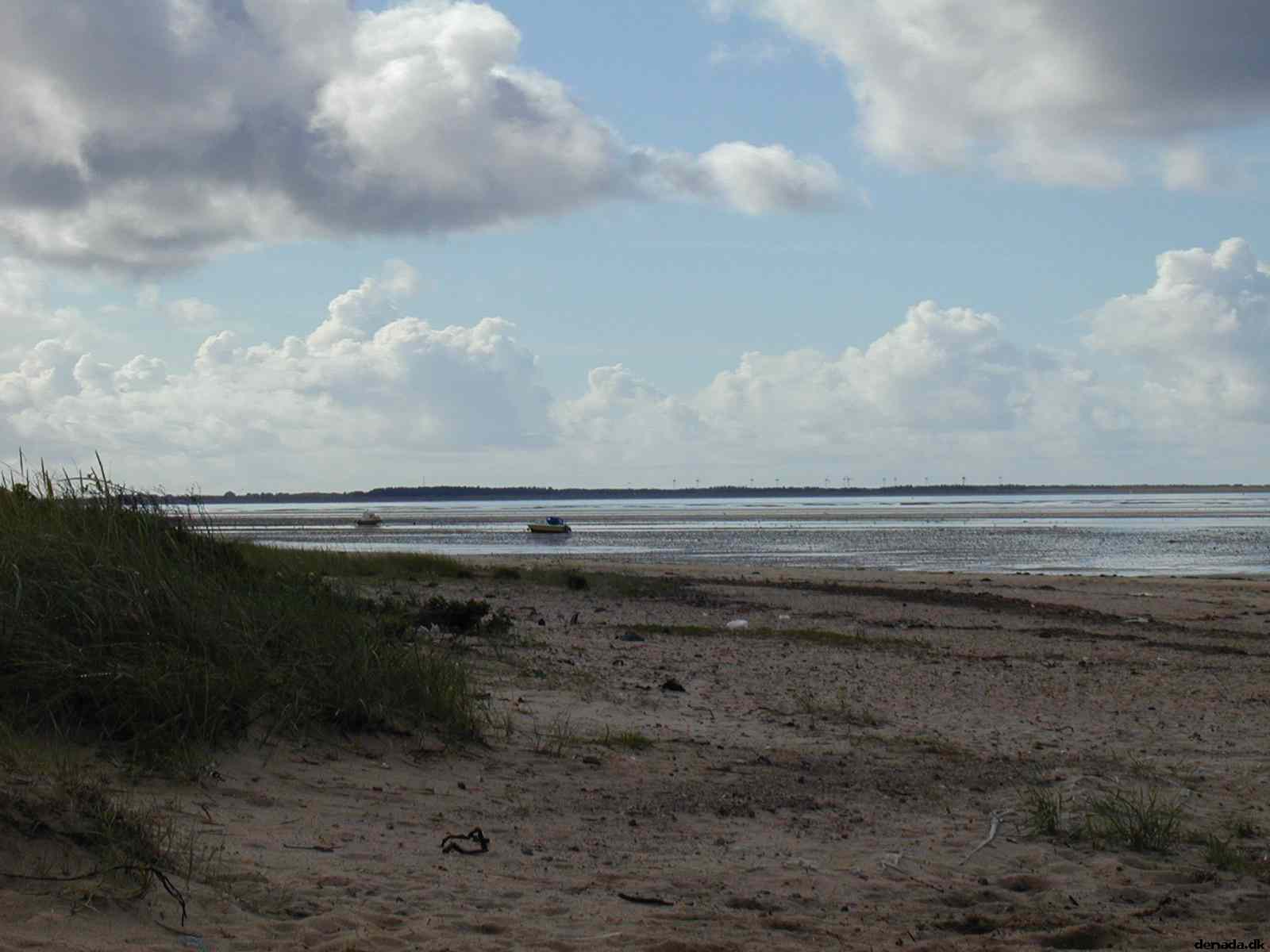 * Image 10