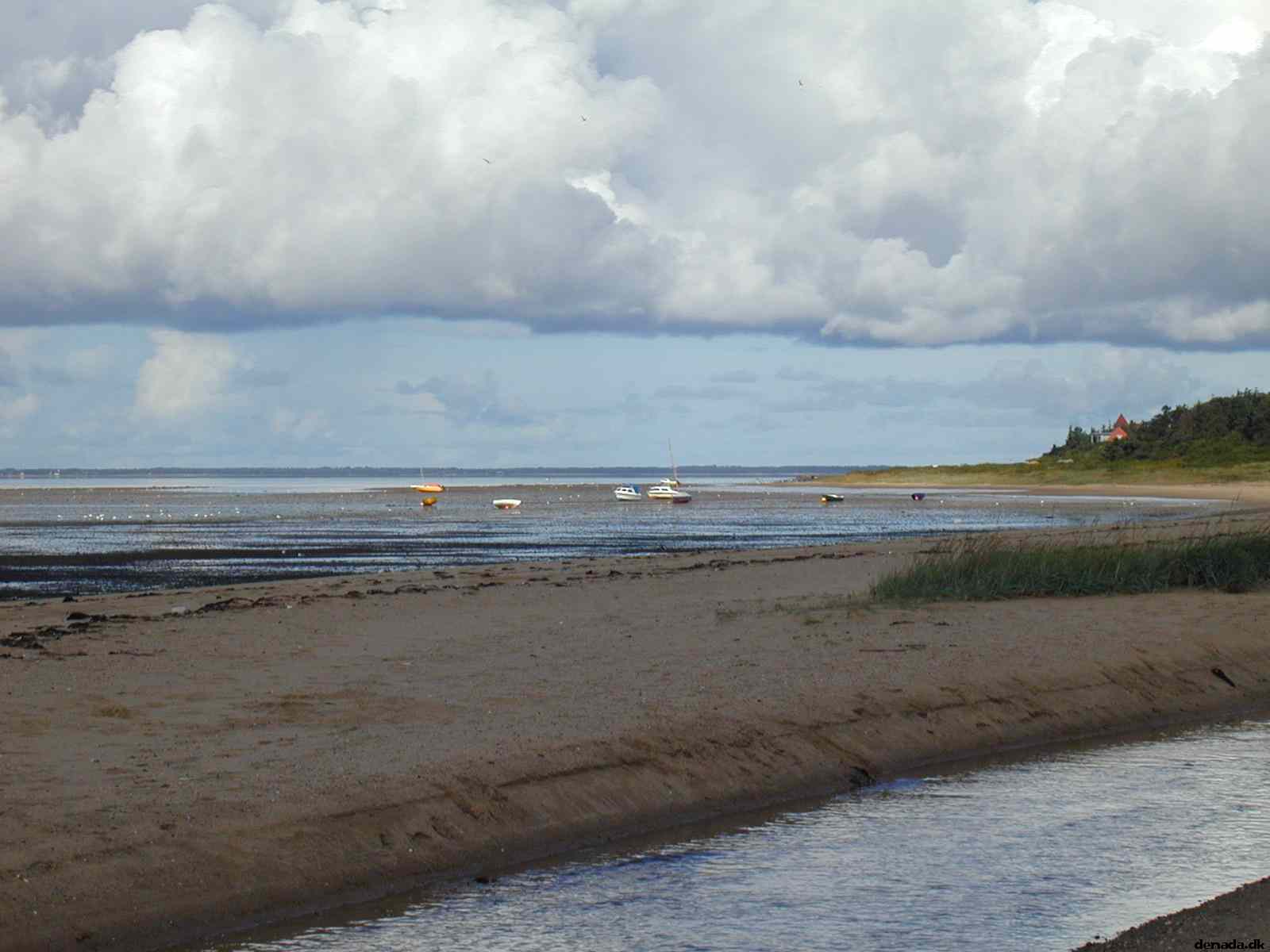* Image 11