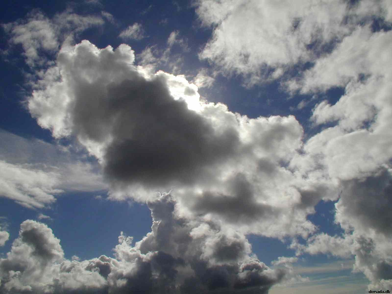 * Image 14