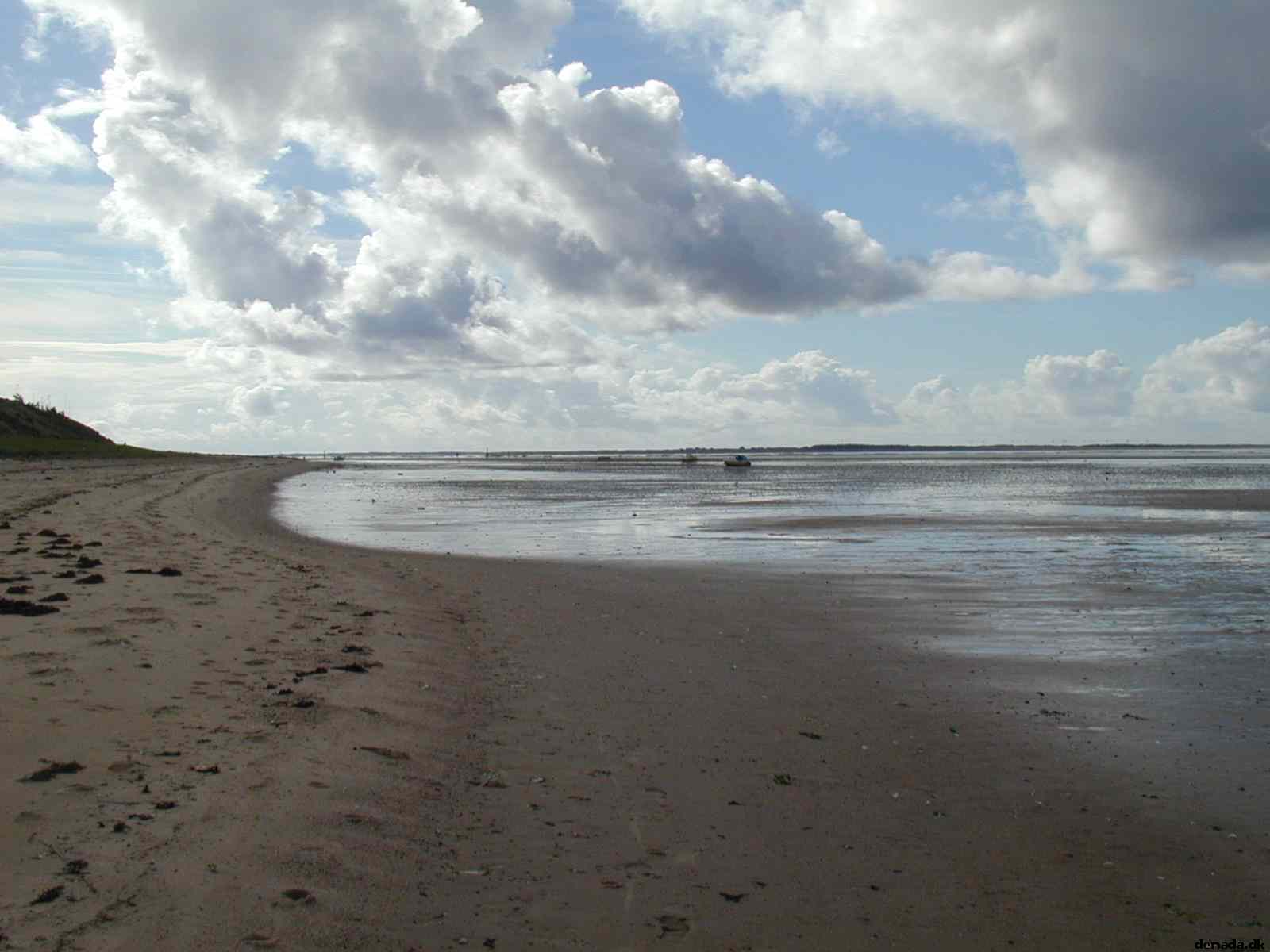 * Image 15