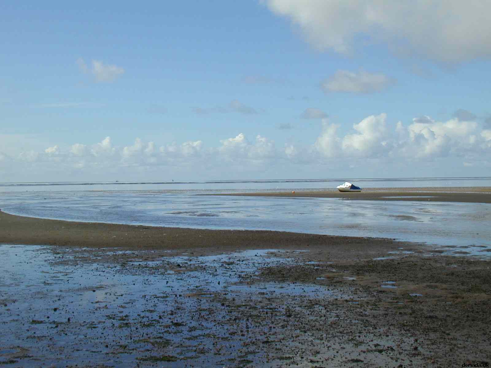 * Image 16