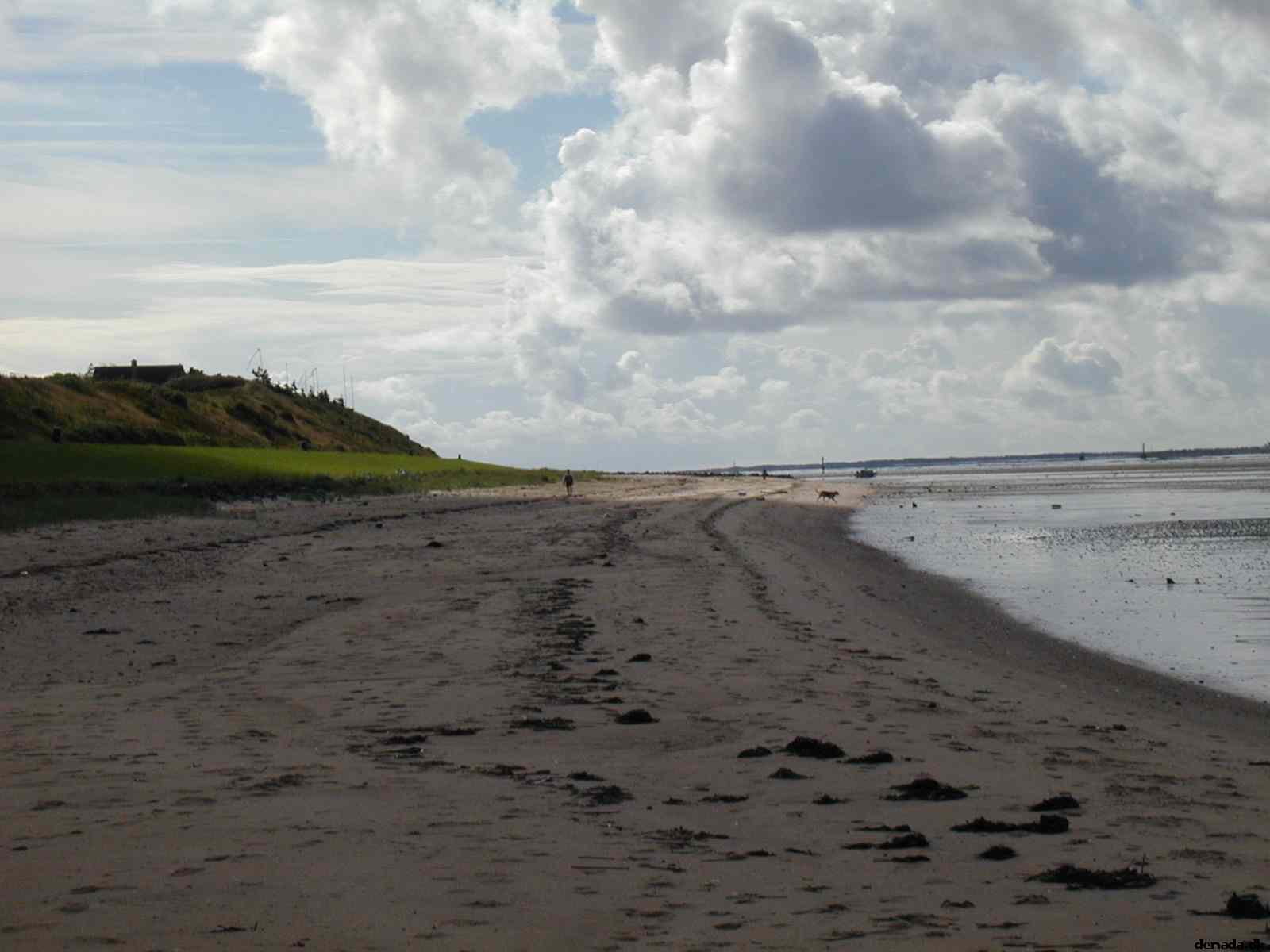 * Image 18