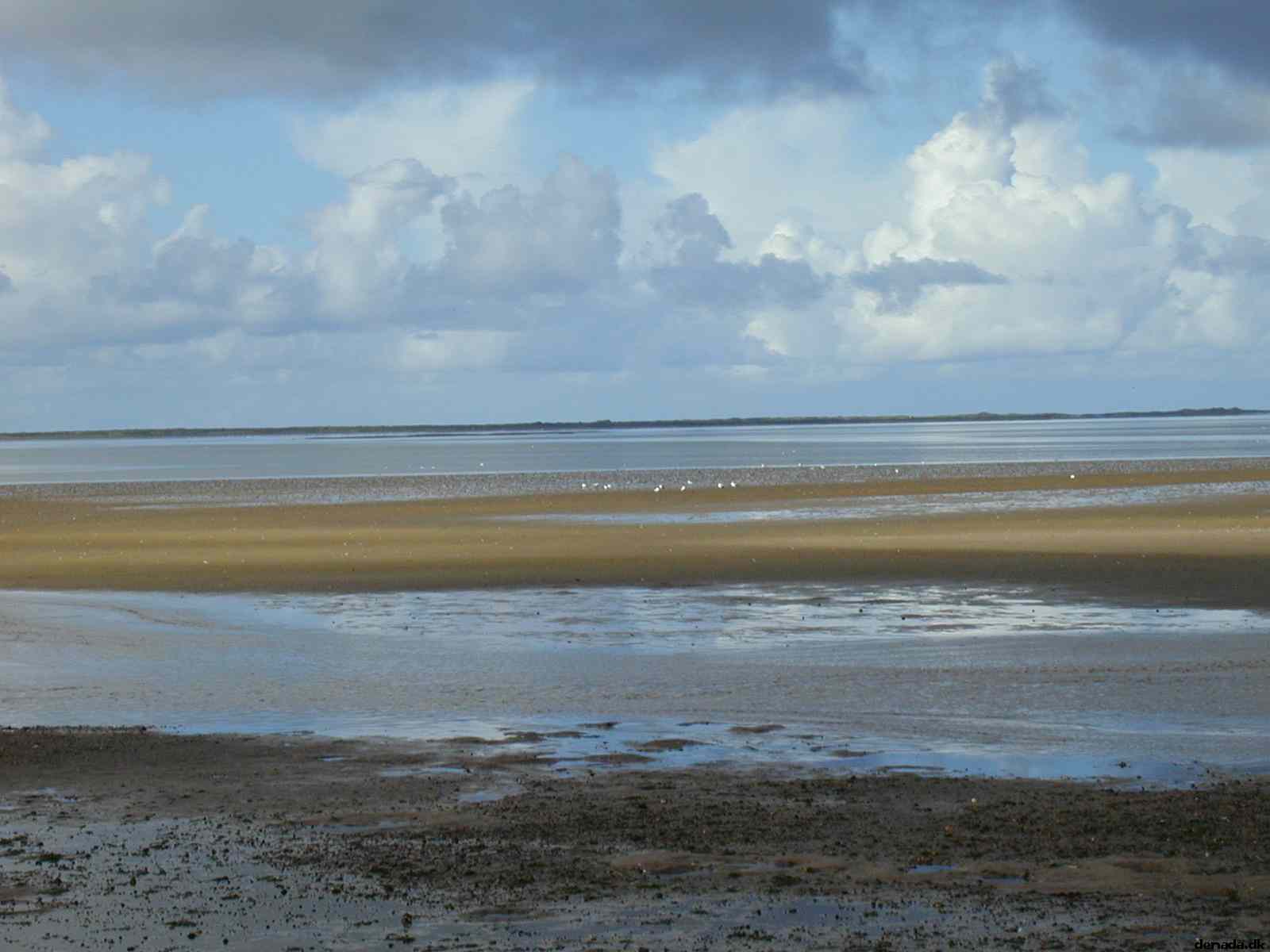 * Image 19